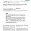 Identifying biological concepts from a protein-related corpus with a probabilistic topic model