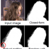 A Perceptually Motivated Online Benchmark for Image Matting