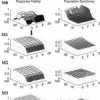 Implications of Noise and Neural Heterogeneity for Vestibulo-Ocular Reflex Fidelity