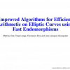 Improved Algorithms for Efficient Arithmetic on Elliptic Curves Using Fast Endomorphisms