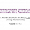 Improving Adaptable Similarity Query Processing by Using Approximations