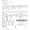 Incorporating Domain Knowledge with Video and Voice Data Analysis in News Broadcasts