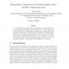 Independent components of natural images under variable compression rate