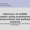 Inference of miRNA targets using evolutionary conservation and pathway analysis