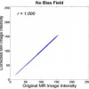 Inhomogeneity correction of magnetic resonance images by minimization of intensity overlapping