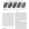 Interactive Modeling of Tree Bark