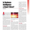 Is Business Intelligence a Smart Move?