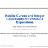 Koblitz Curves and Integer Equivalents of Frobenius Expansions