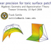 Linear Precision for Toric Surface Patches