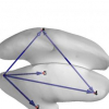 Linearly constrained MEG beamformers for MVAR modeling of cortical interactions