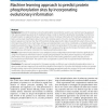 Machine learning approach to predict protein phosphorylation sites by incorporating evolutionary information