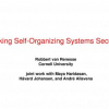 Making Self-organizing Systems Secure