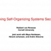 Making Self-organizing Systems Secure
