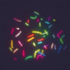 Minimum entropy segmentation applied to multi-spectral chromosome images