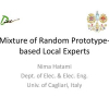 Mixture of Random Prototype-Based Local Experts