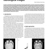 Model-based Segmentation of Radiological Images