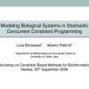 Modeling Biological Systems in Stochastic Concurrent Constraint Programming