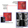 Morphable Reflectance Fields for Enhancing Face Recognition