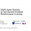 Multi-Agent Systems by Incremental Gradient Reinforcement Learning