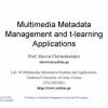 Multimedia Metadata Management and t-Learning Applications