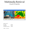 Multimedia Retrieval Using Multiple Examples