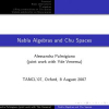 Nabla Algebras and Chu Spaces