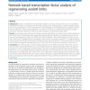 Network based transcription factor analysis of regenerating axolotl limbs
