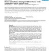 Neutral network sizes of biological RNA molecules can be computed and are not atypically small