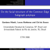 On the Facial Structure of the Common Edge Subgraph polytope