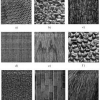 On the Selection of an Optimal Wavelet Basis for Texture Characterization