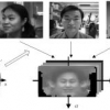 Online Modeling and Tracking of Pose-Varying Faces in Video