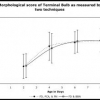 Pattern recognition approaches to compute image similarities: application to age related morphological change