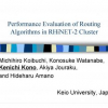 Performance Evaluation of Routing Algorithms in RHiNET-2 Cluster