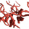 Phase based level set segmentation of blood vessels
