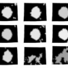 Preliminary testing of sensitivity to input data quality in an elastographic reconstruction method