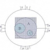 Prompt Gamma-Ray Imaging for Small Animals