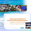 Public Key Perturbation of Randomized RSA Implementations