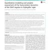 Quantitative modeling and analytic assessment of the transcription dynamics of the XlnR regulon in Aspergillus niger