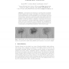 Real-Time Modeling of Vascular Flow for Angiography Simulation