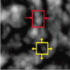 Recovering Fluid-type Motions Using Navier-Stokes Potential Flow