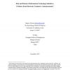 Risk and Return of Information Technology Initiatives: Evidence from Electronic Commerce Announcements