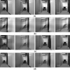 Robust Focused Image Estimation from Multiple Images in Video Sequences
