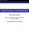 Scaled Dimension of Individual Strings
