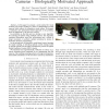 Scanning the Environment with Two Independent Cameras - Biologically Motivated Approach