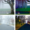 Factorizing Scene Albedo and Depth from a Single Foggy Image