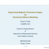 Segmenting magnetic resonance images via hierarchical mixture modelling