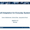Self-adaptation for everyday systems