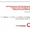 Self-deployment, Self-configuration: Critical Future Paradigms for Wireless Access Networks