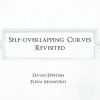 Self-overlapping Curves Revisited