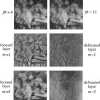 Separation of Transparent Layers Using Focus